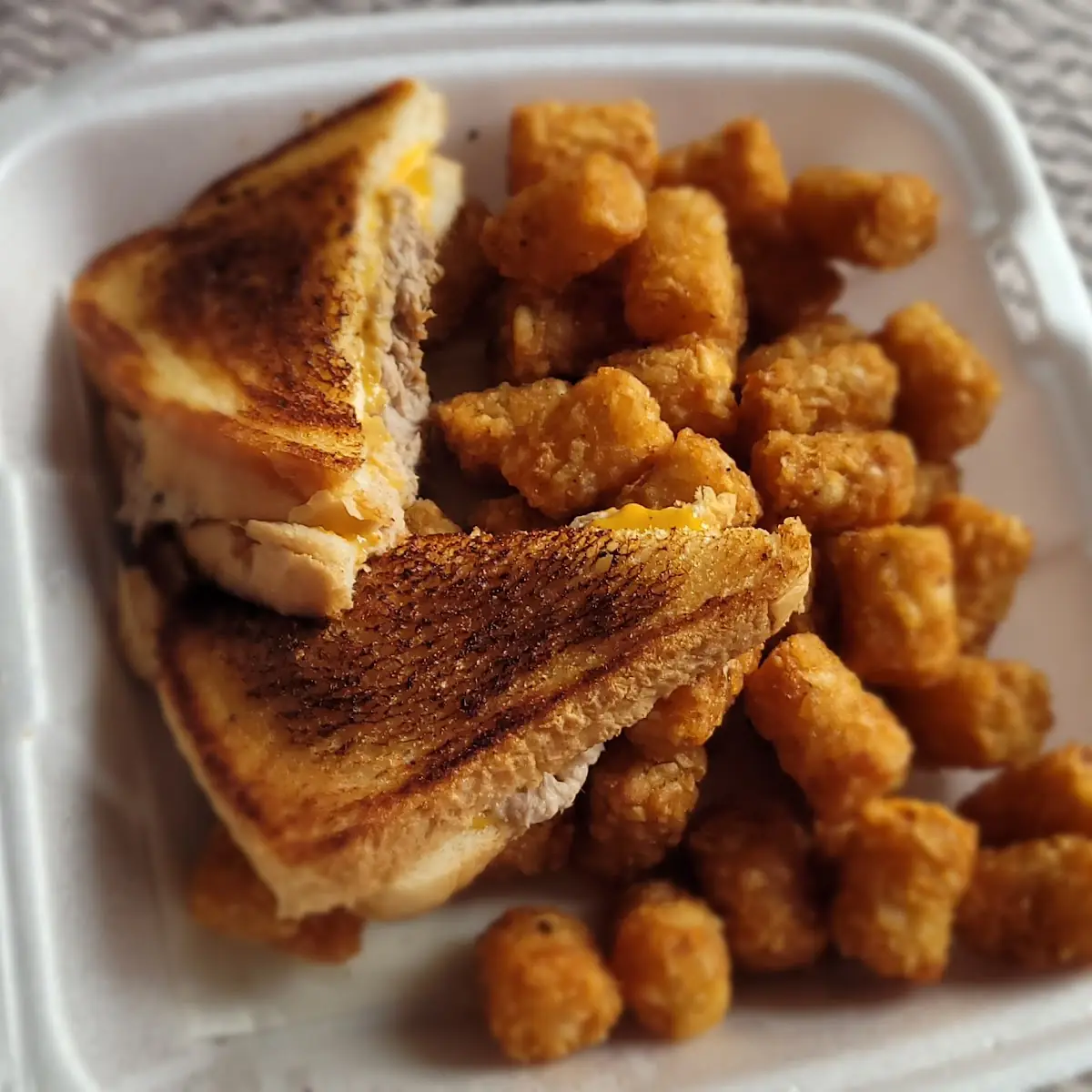 Tuna Melt Sandwich