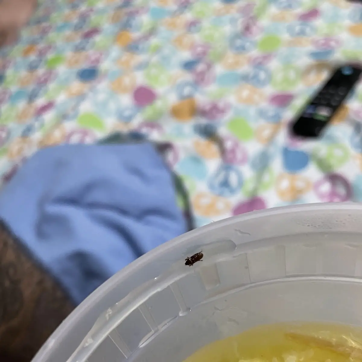 Egg Drop Soup