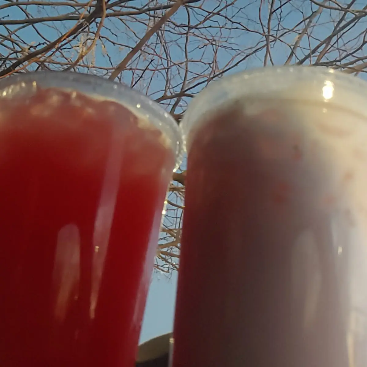 Agua Fresca Flavored Fresh Drink