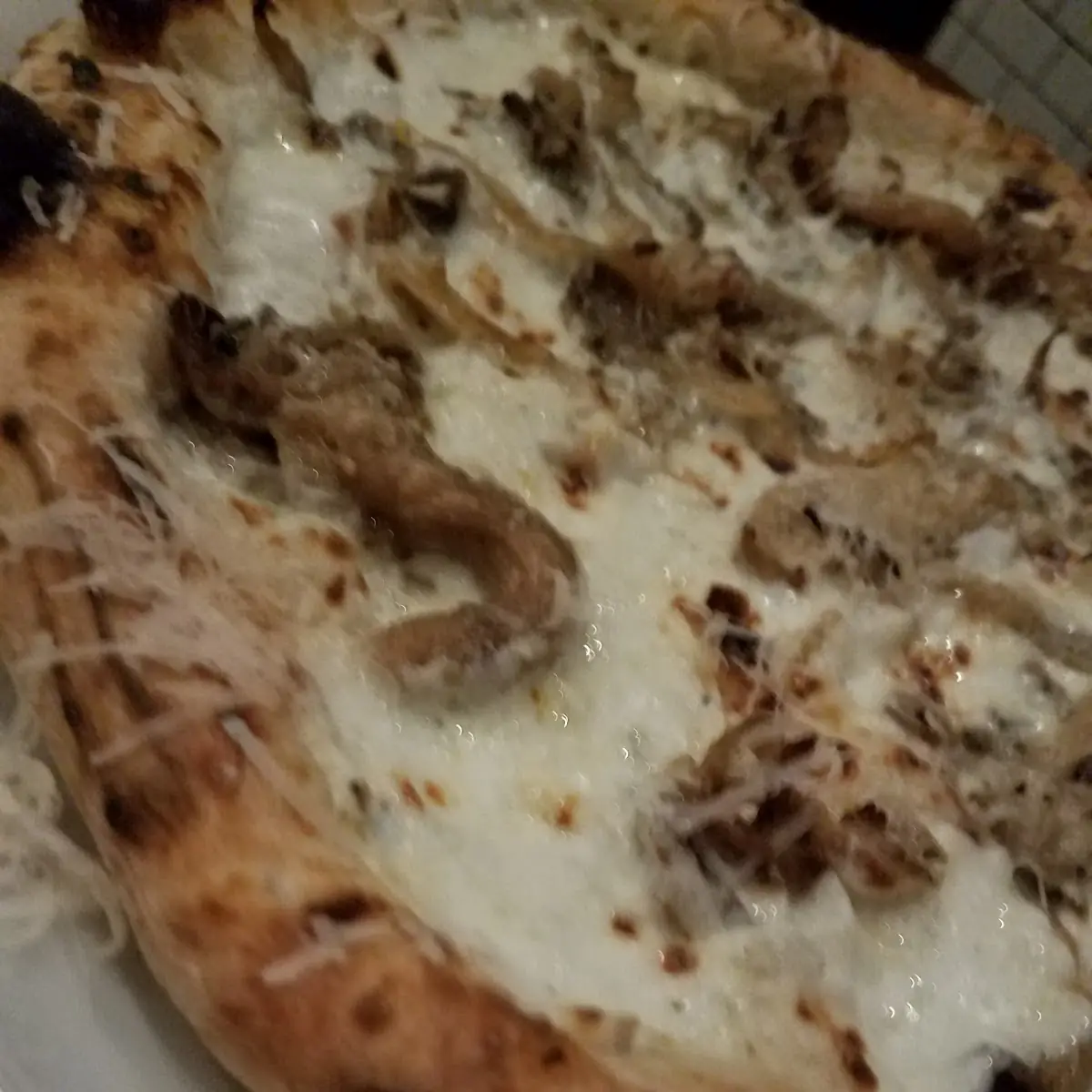 Mushroom Pizza