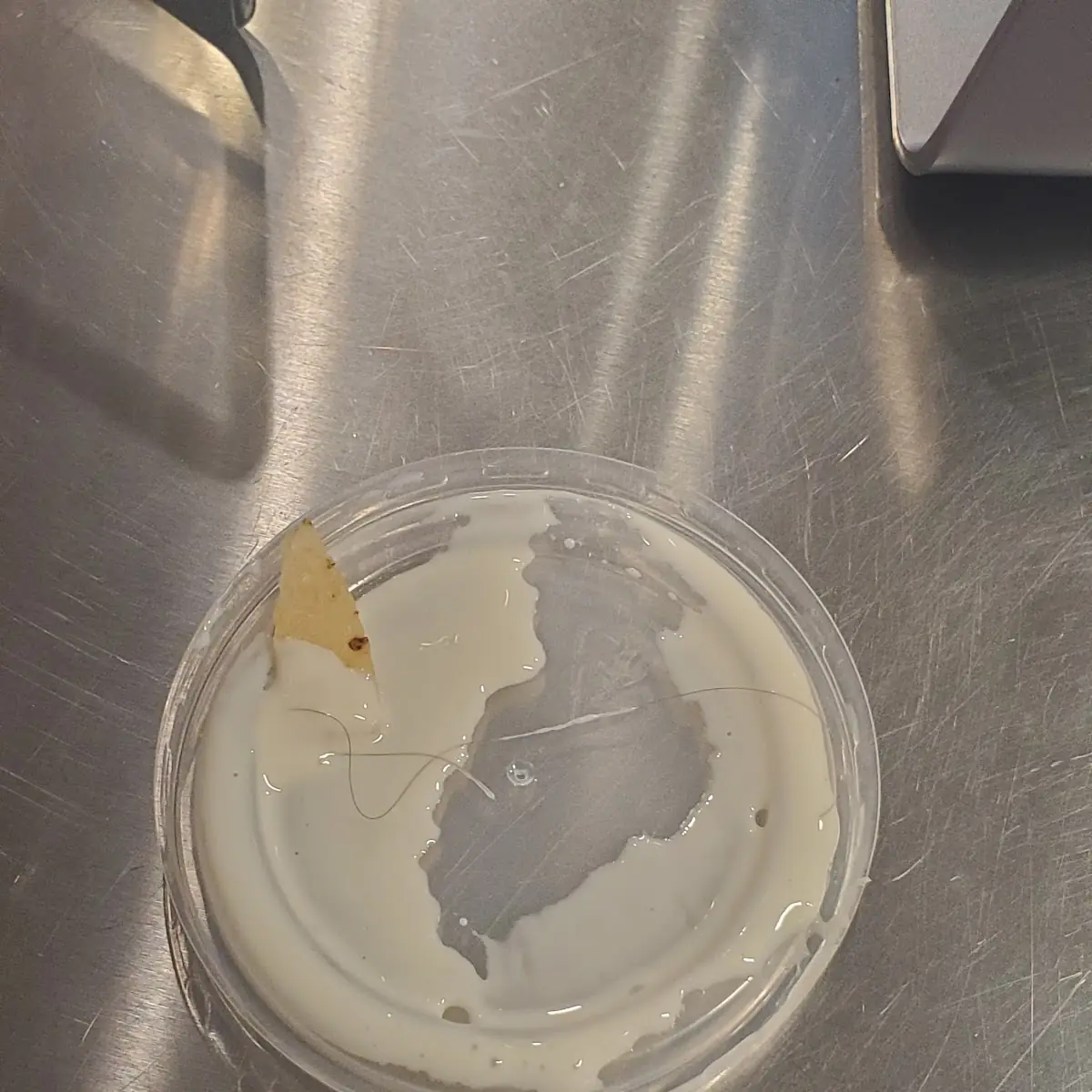 Queso Dip