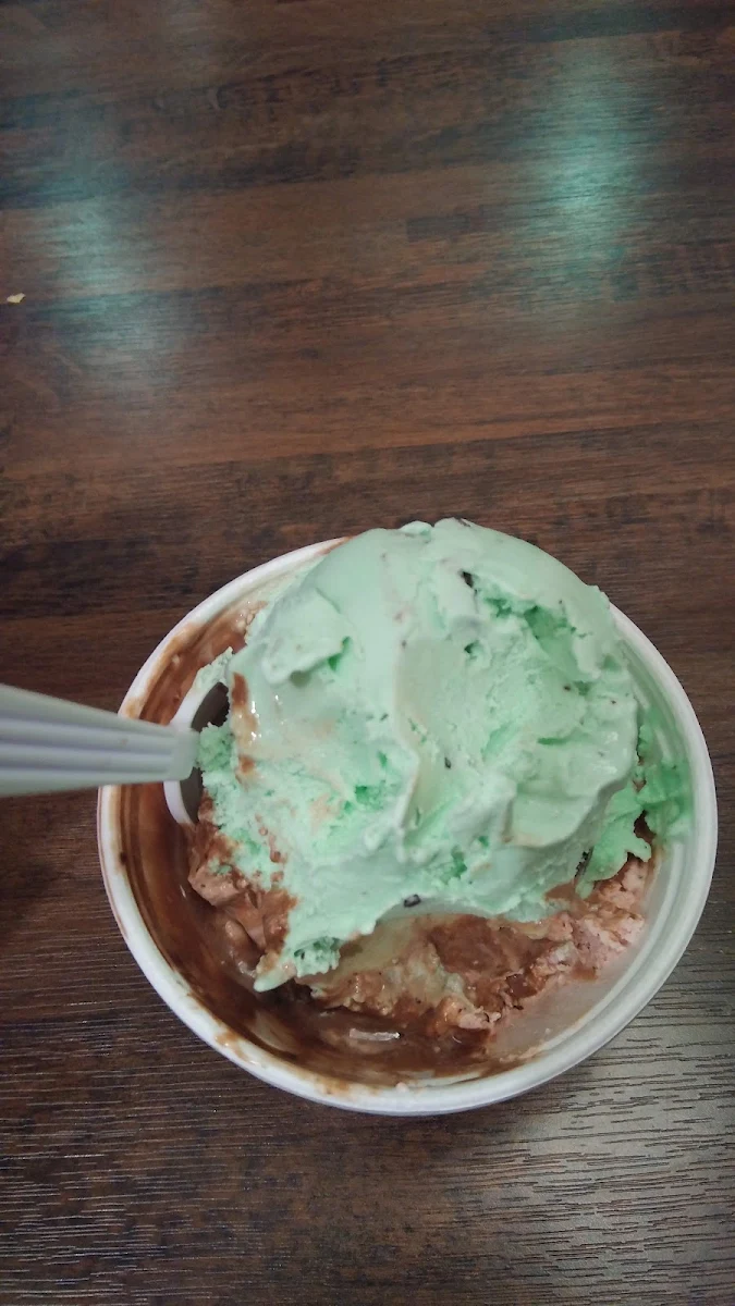 Mint Chocolate Chip Ice Cream