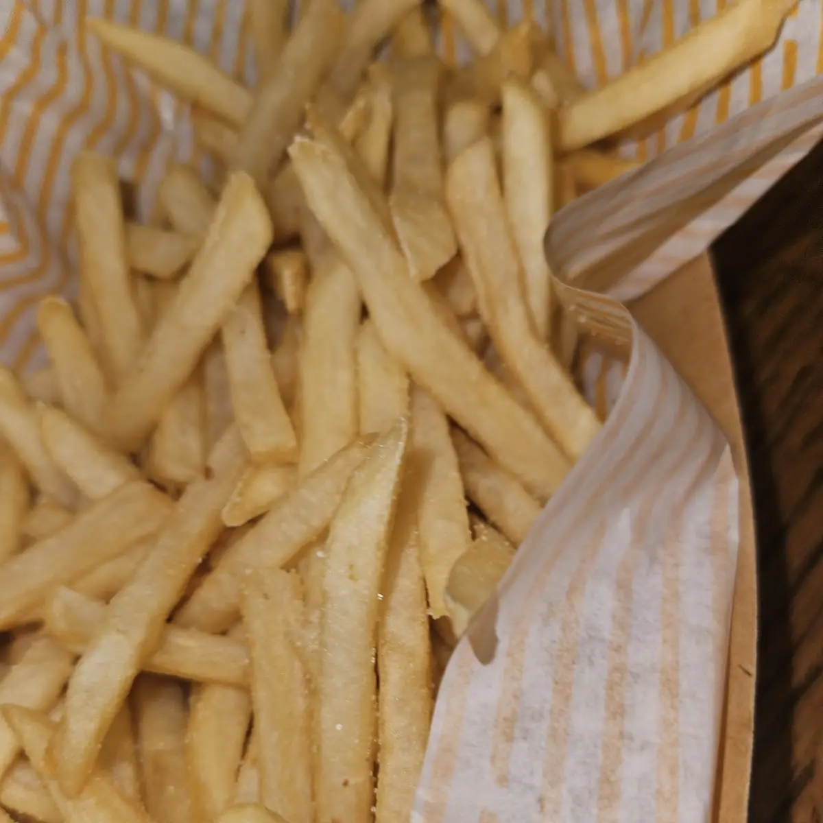 World Famous Fries