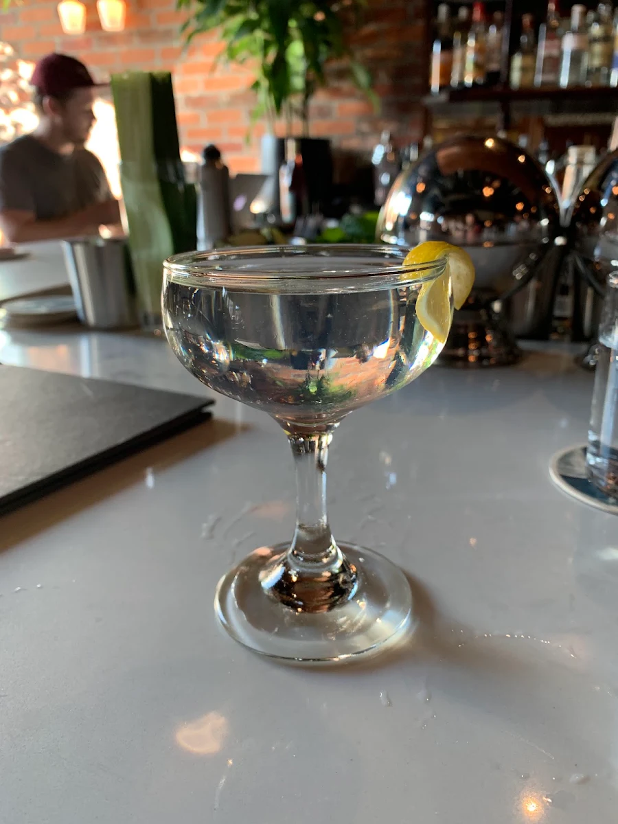 Gin Martini