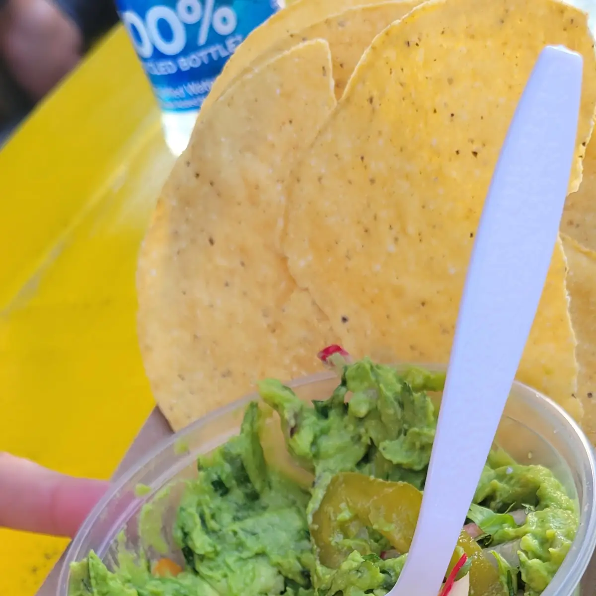 Guacamole Dip