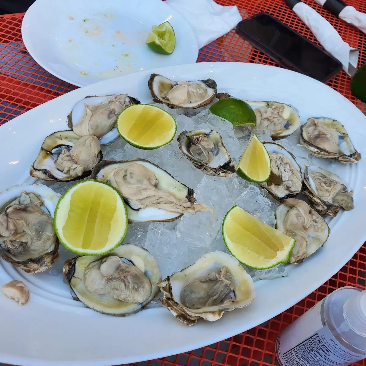 1 2 Docena Oysters Ostiones