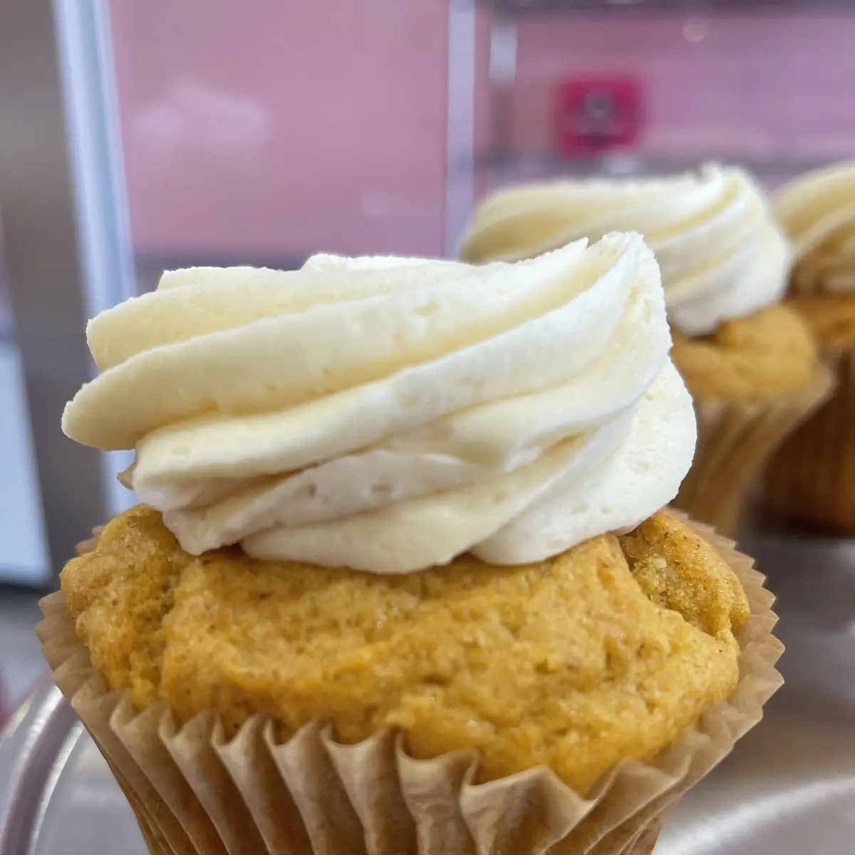 Gluten Free Vanilla Cupcake
