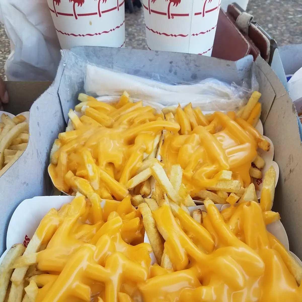 The Infamous Cheese Fries