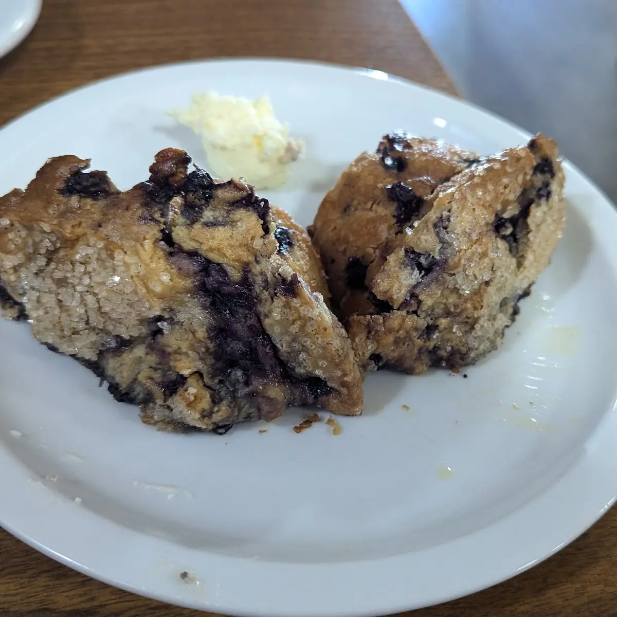 Blueberry Muffin