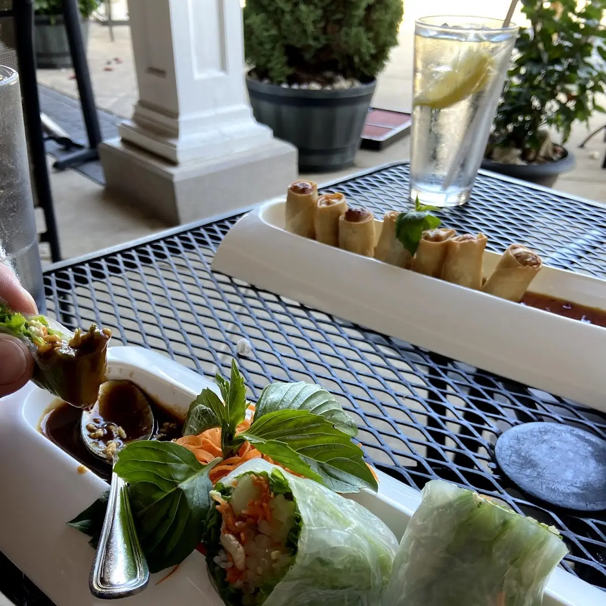 Spring Roll