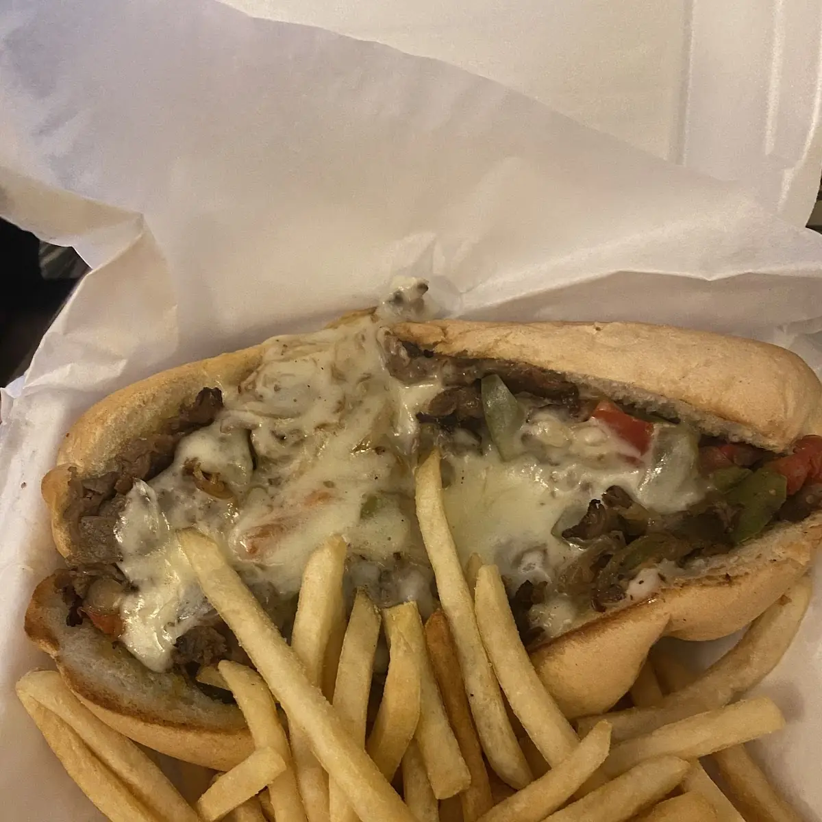 Cheese Steak and Fries