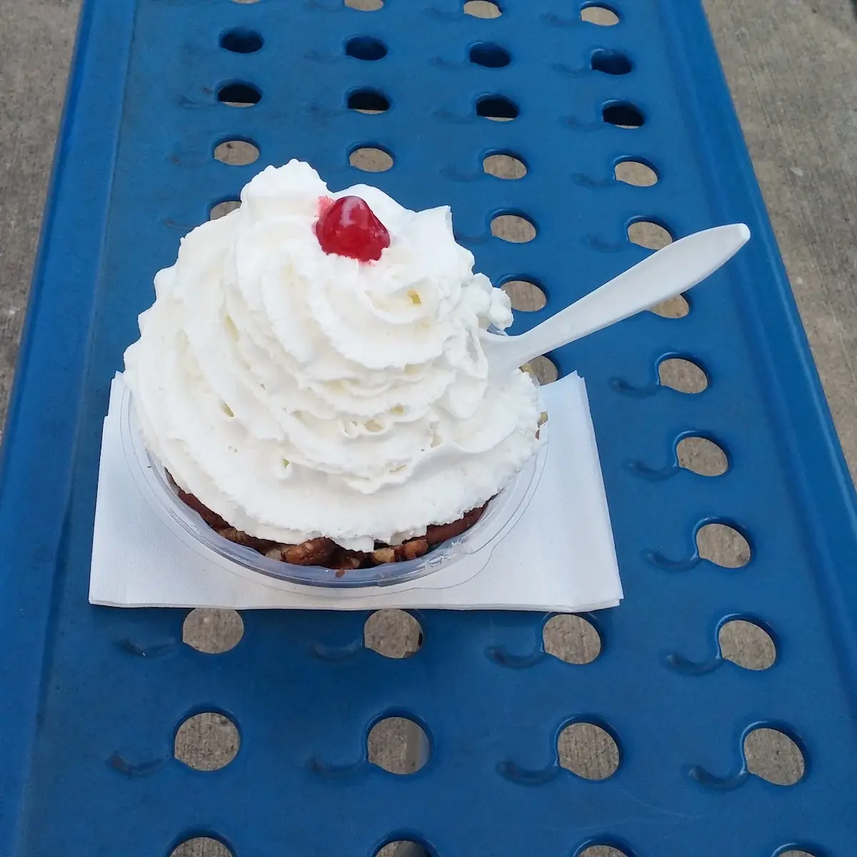Turtle Sundae