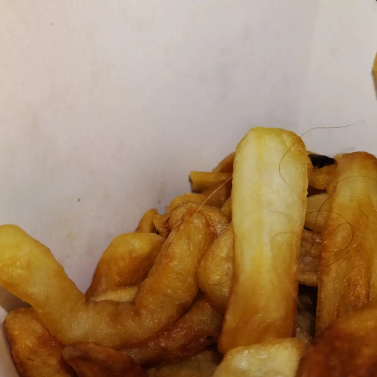 Pubic Fries of Some Kind
