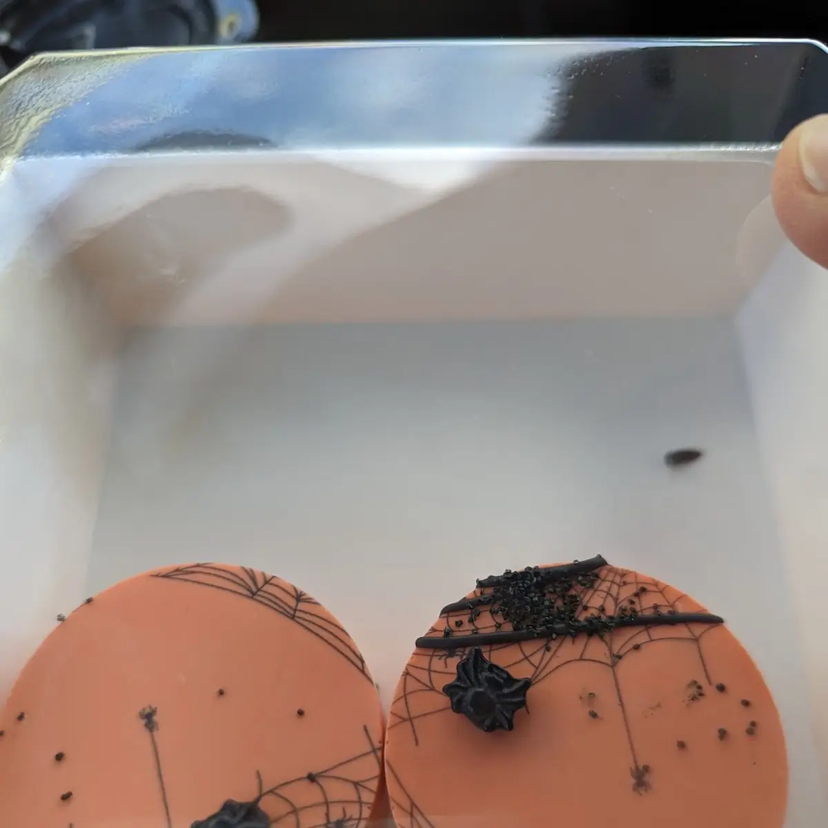 Chocolate Covered Oreos