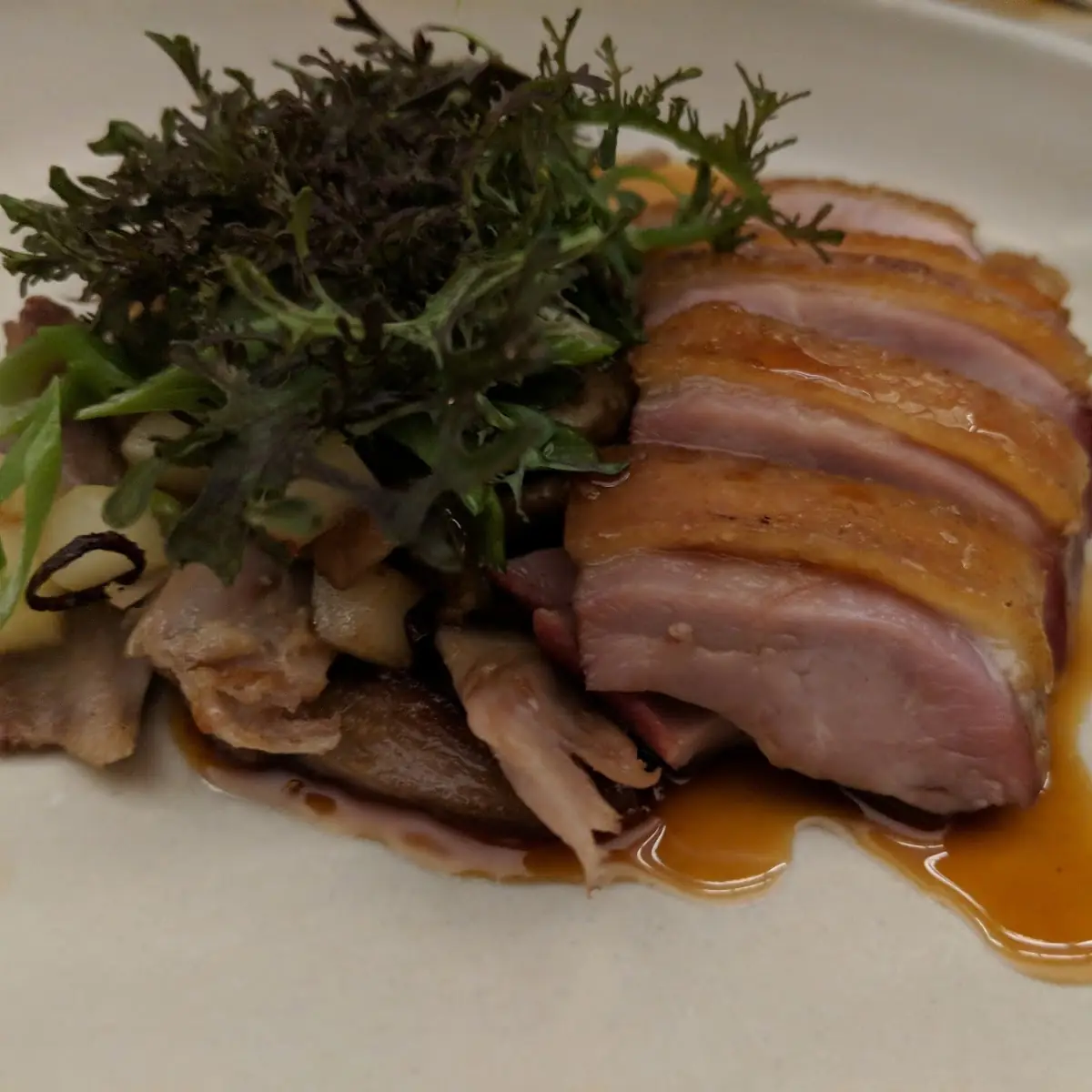 Duck Breast