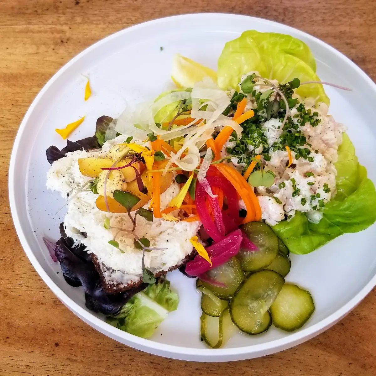Oregon Bay Shrimp and Cod Salad Open Face Sandwiches