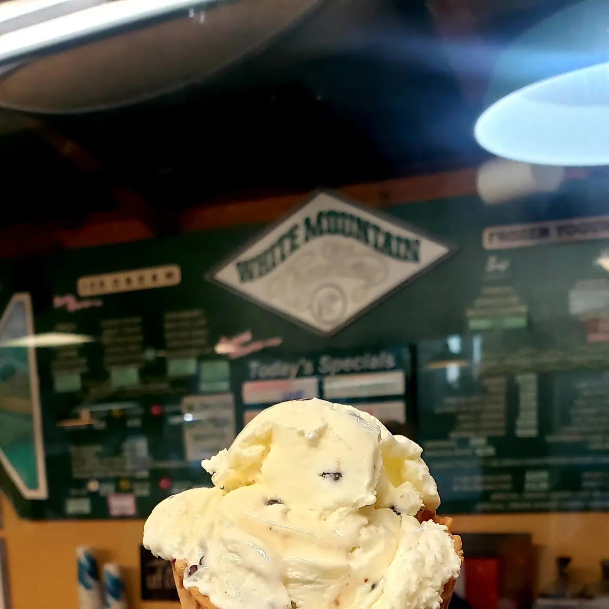 Mint Chocolate Chip on a Waffle Cone