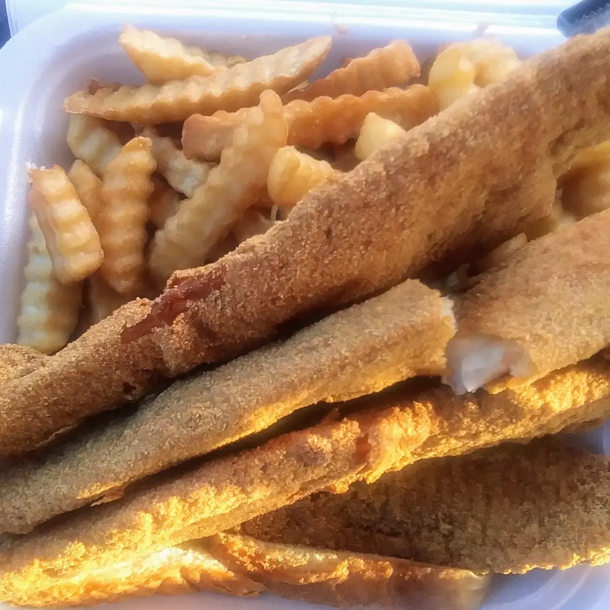 Fried Fish w Fries
