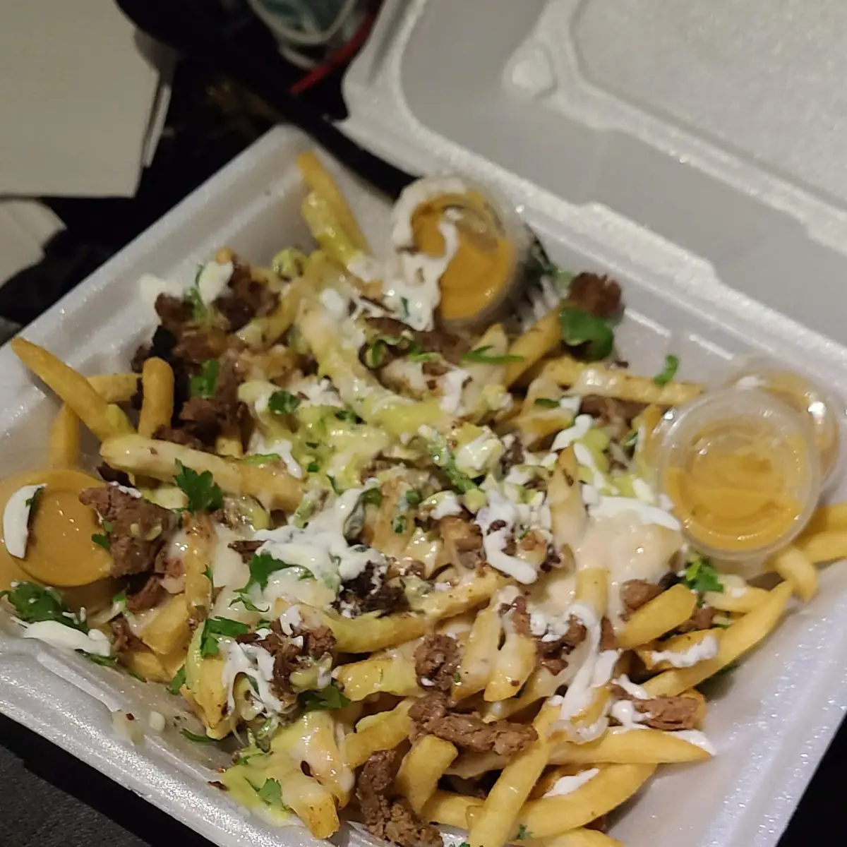 Loaded Fries with Carne Asada