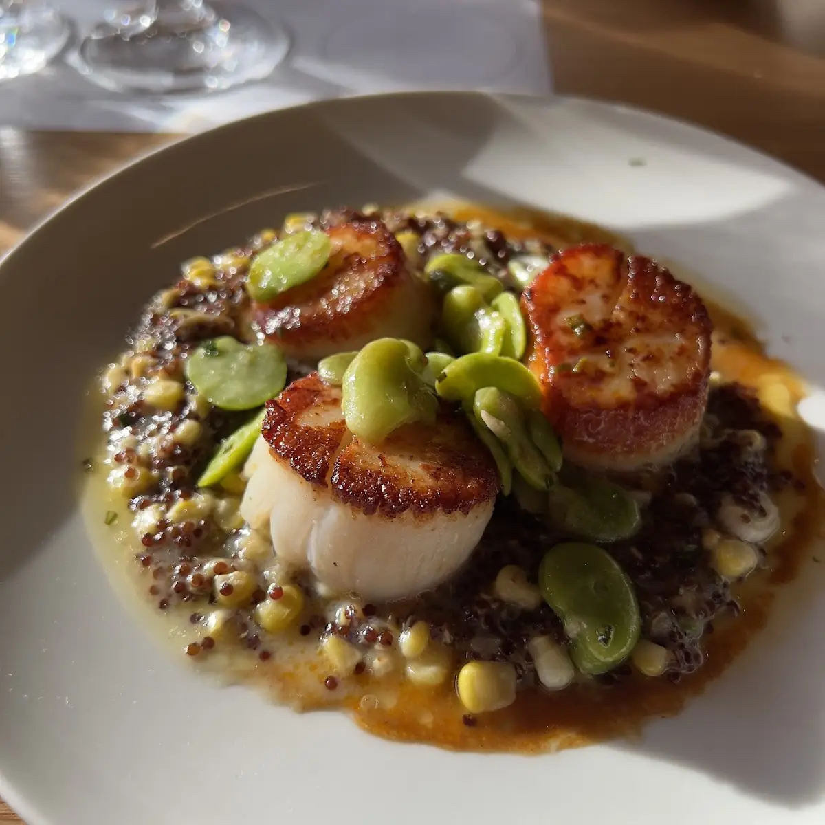 Sea Scallops