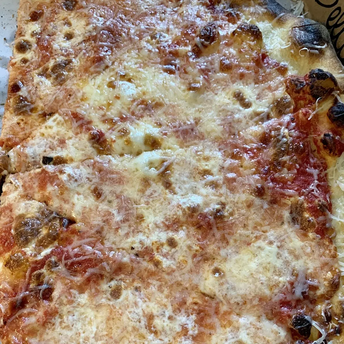 Plain Pizza
