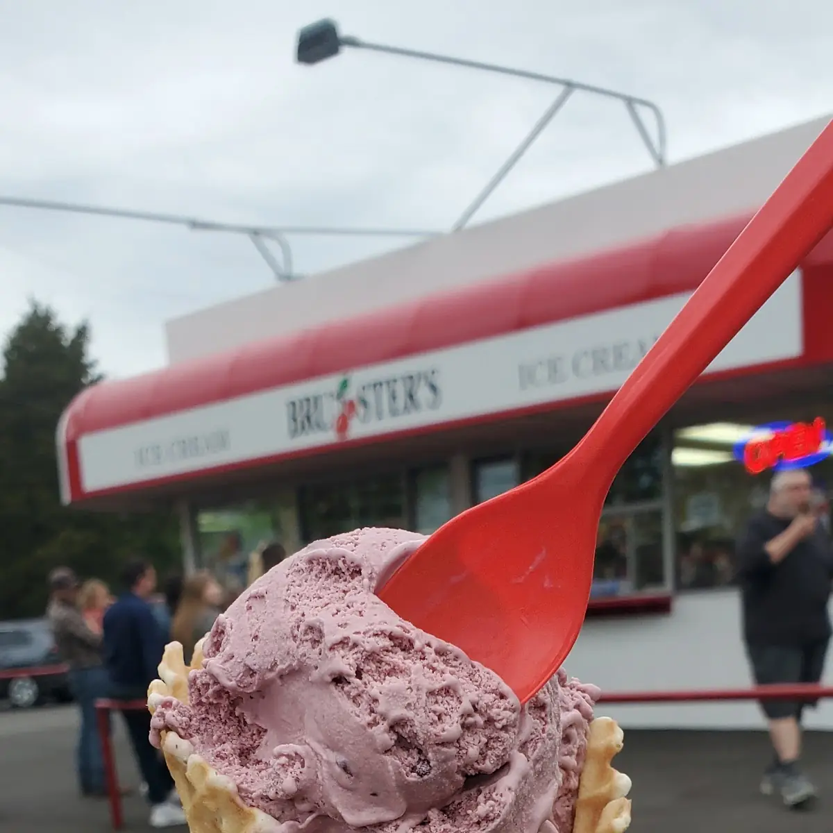 Black Raspberry and Chocolate Chunk
