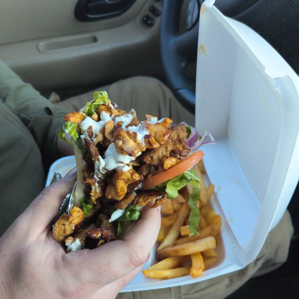Gyro Sandwich