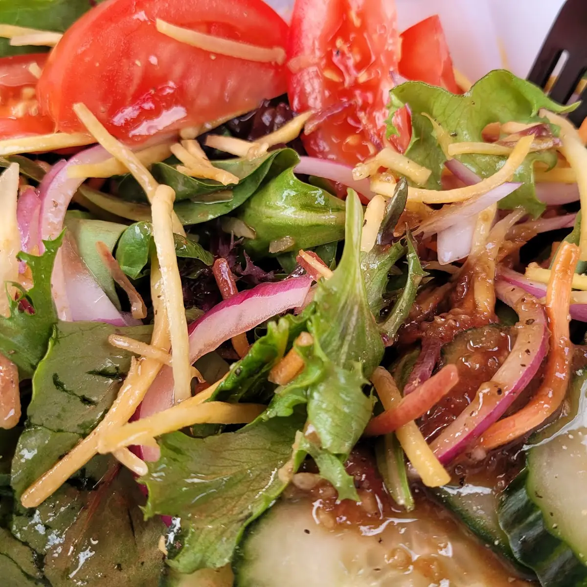 Large Garden Spring Salad