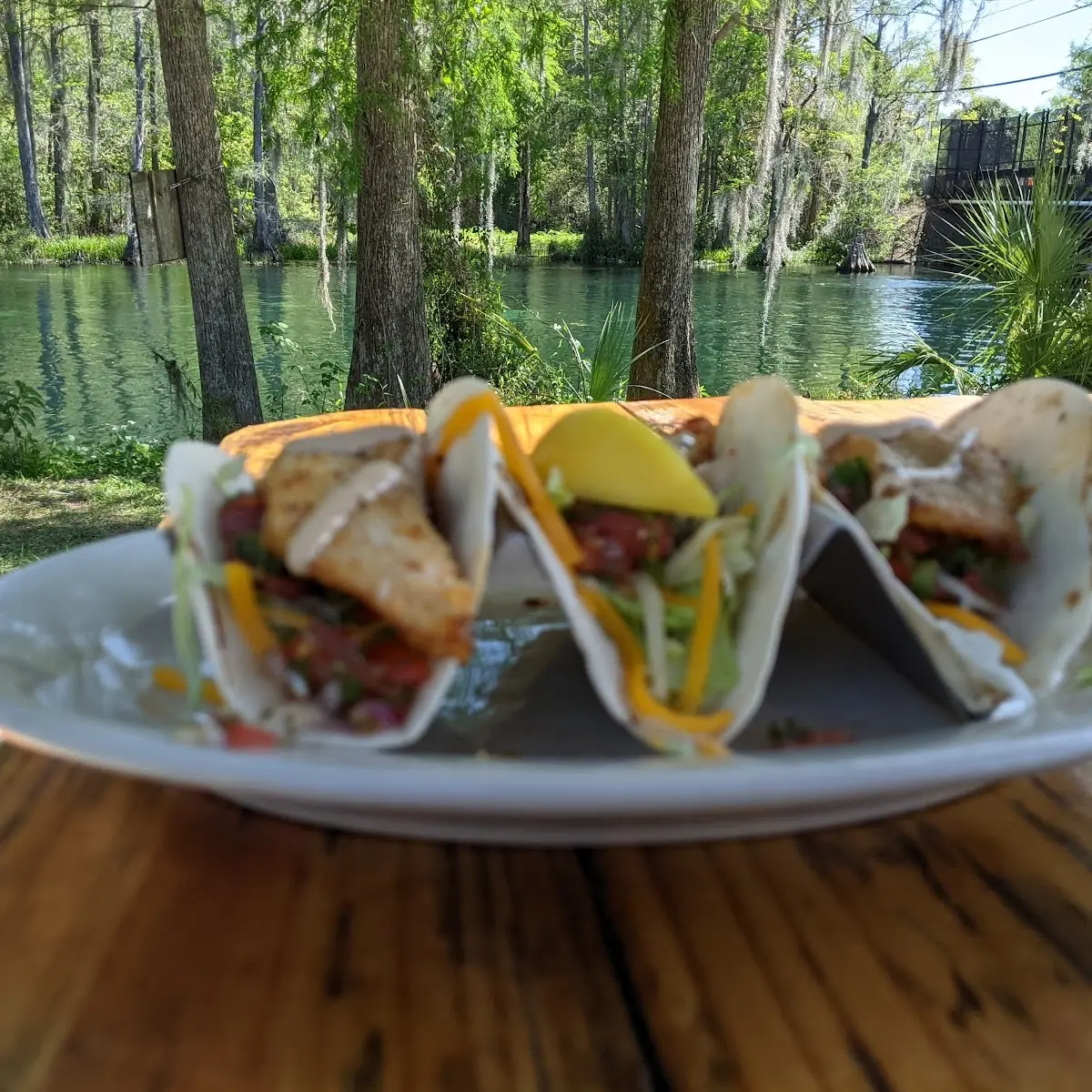 Fish Tacos