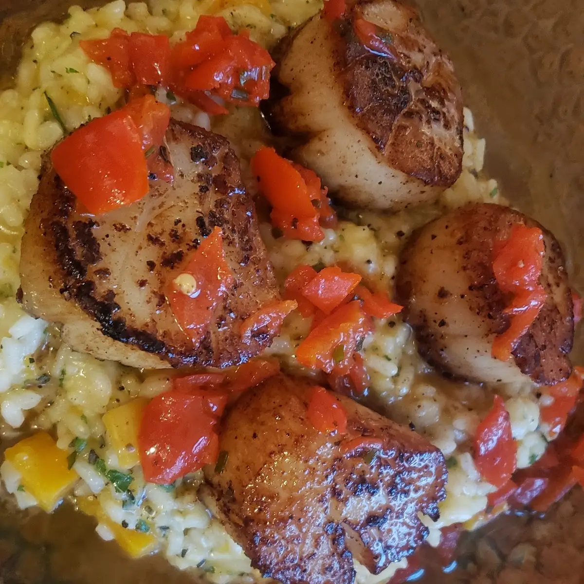 Scallops and Some Kind of Rice