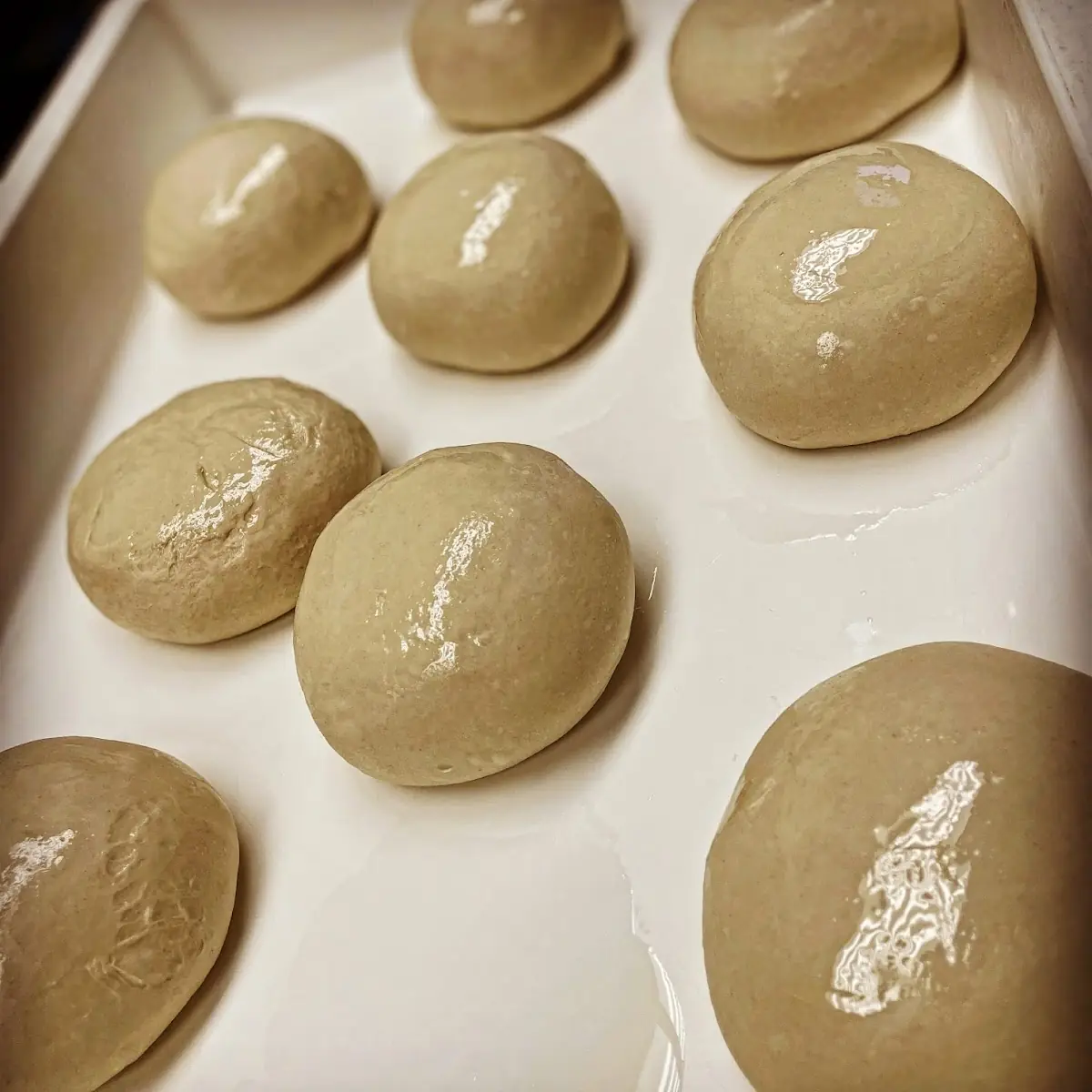 Medium Dough Ball