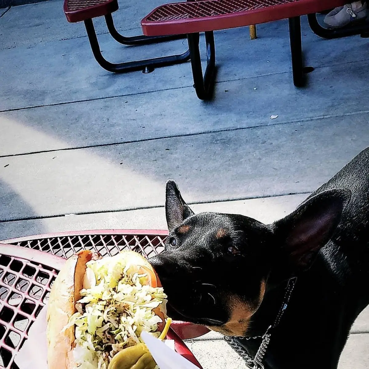 Hot Pastrami