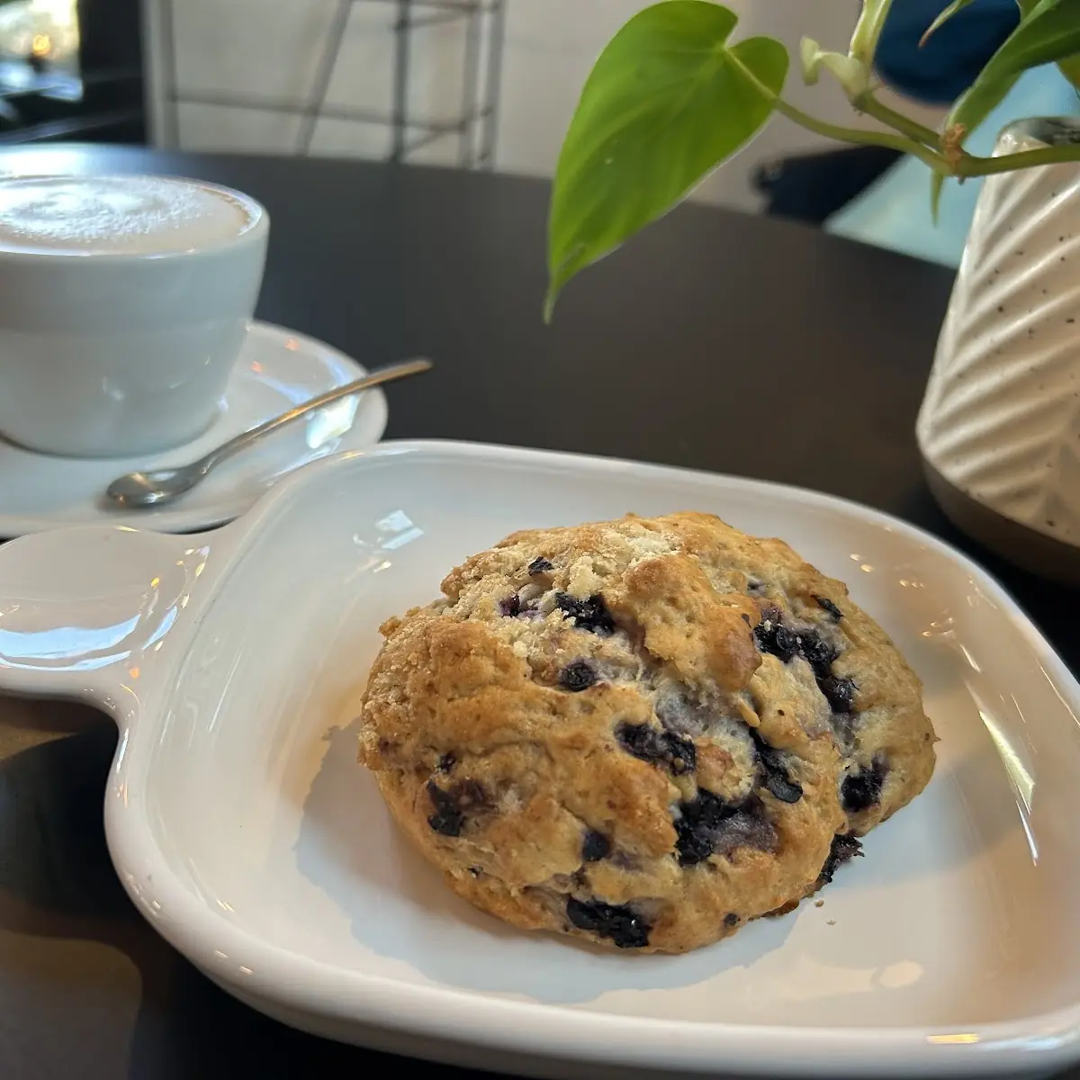 Blueberry Muffin
