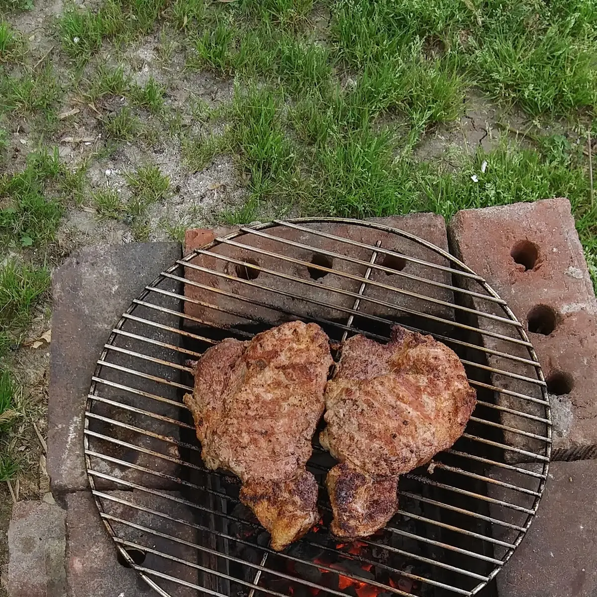 Caveman Style Wolly Mammoth Steak