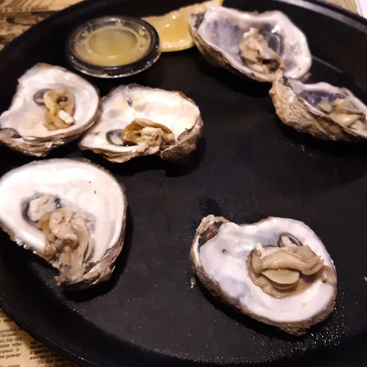 Oysters on the Half Shell