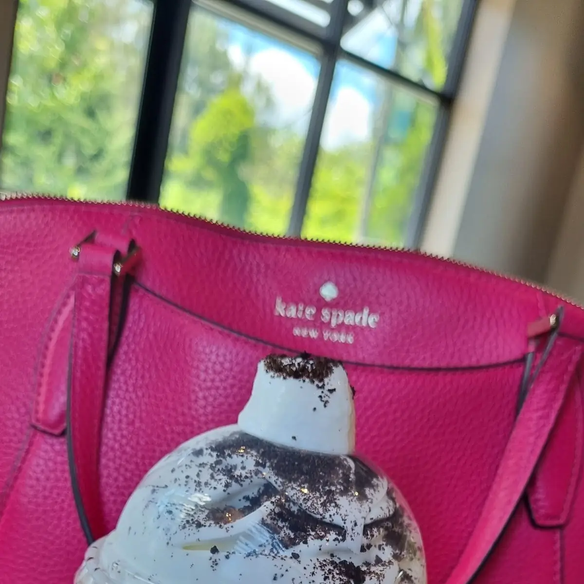 Java Chip Frappuccino