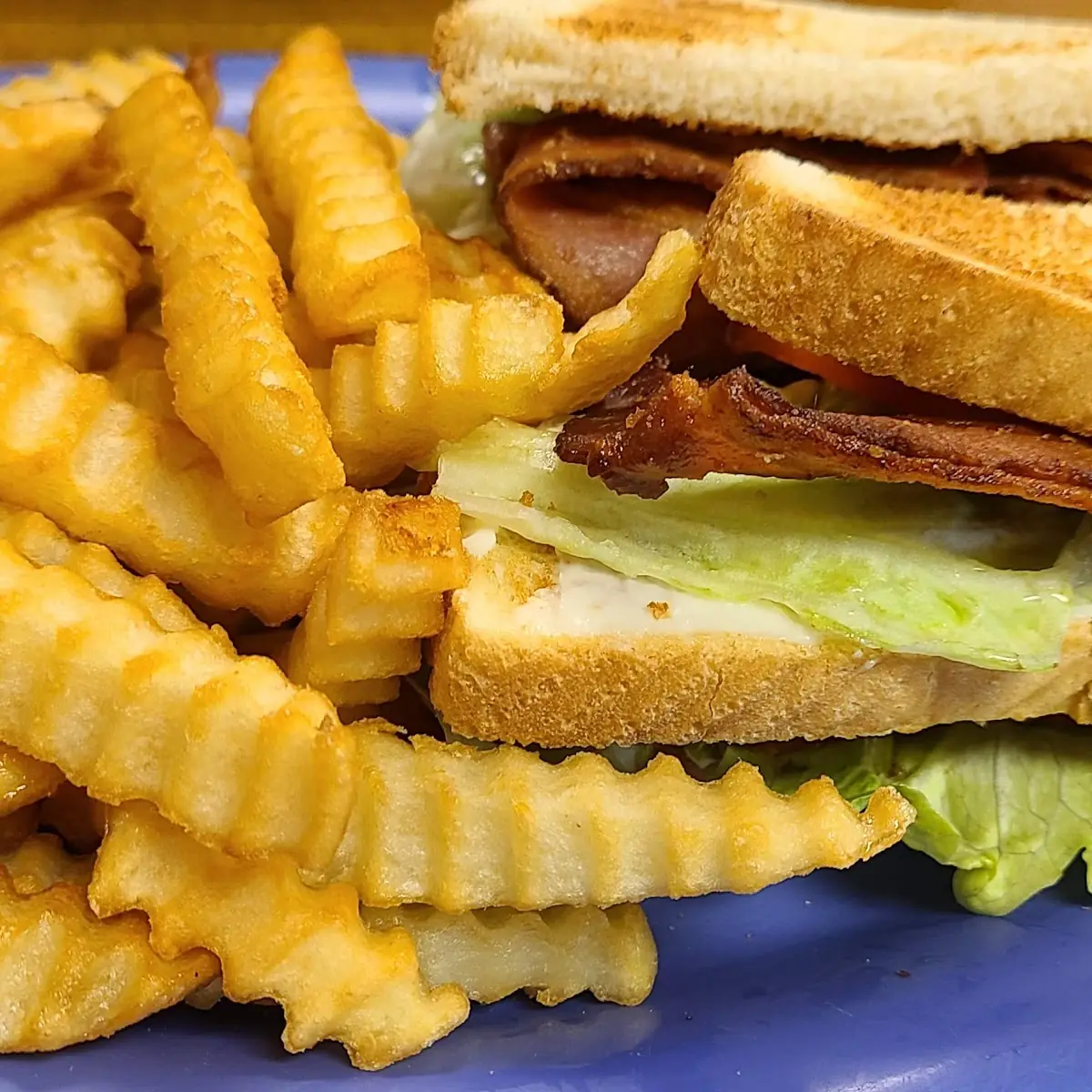 Grilled Cheese & French Fries