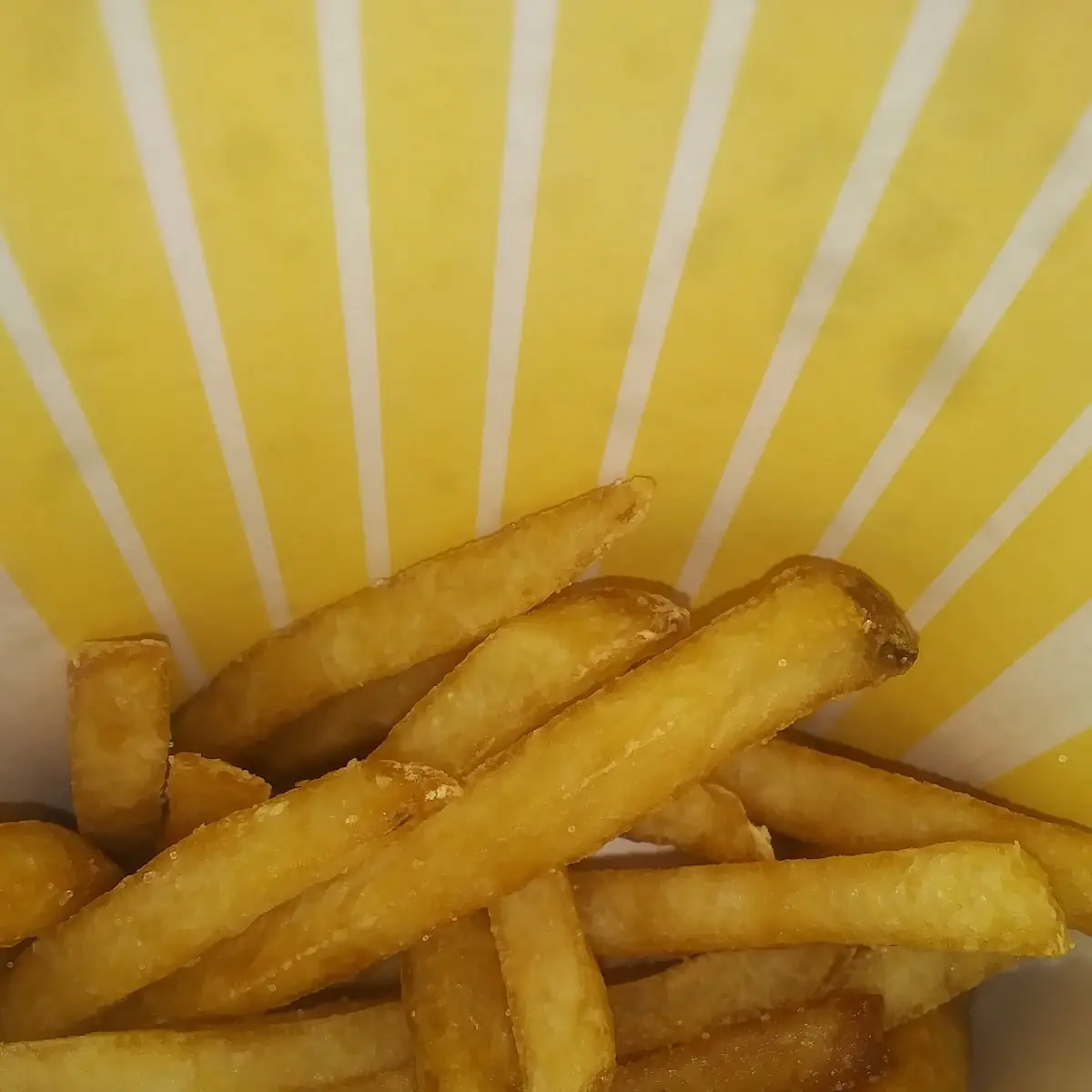 World Famous Fries