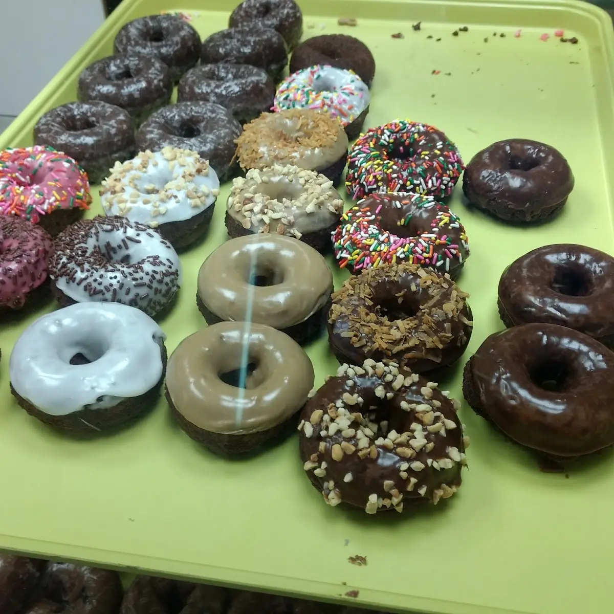 Doughnut