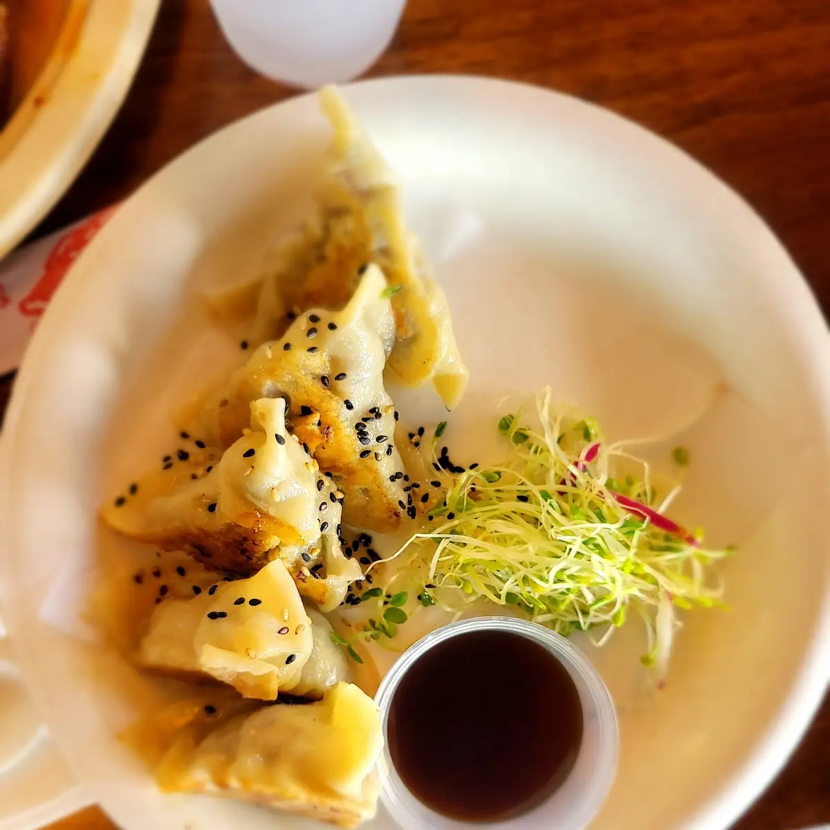 Double Delight Potstickers