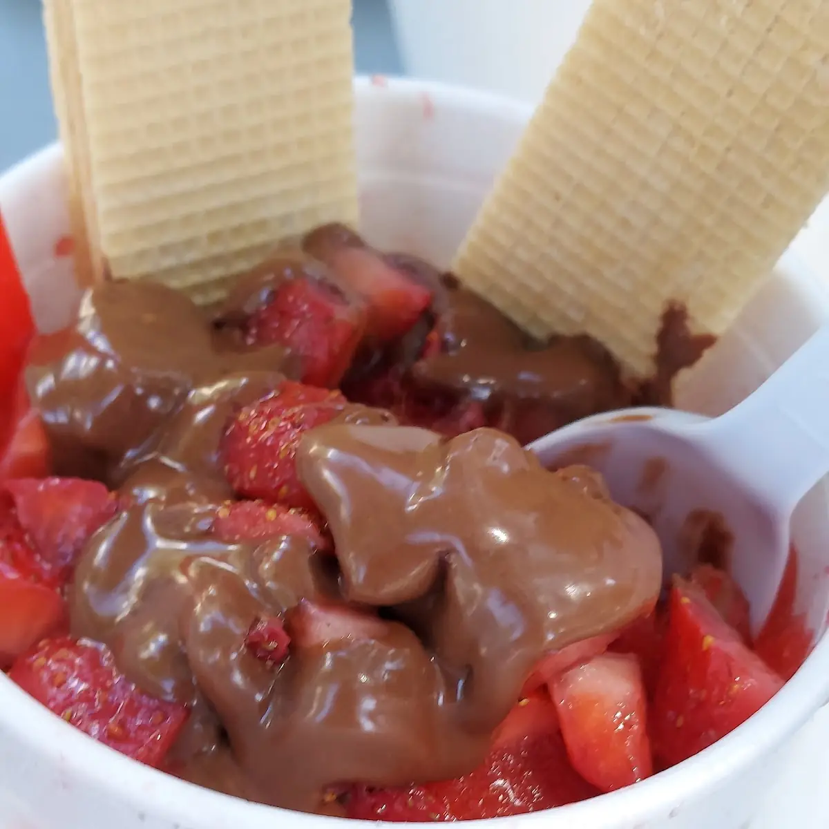 Frozen Yogurt