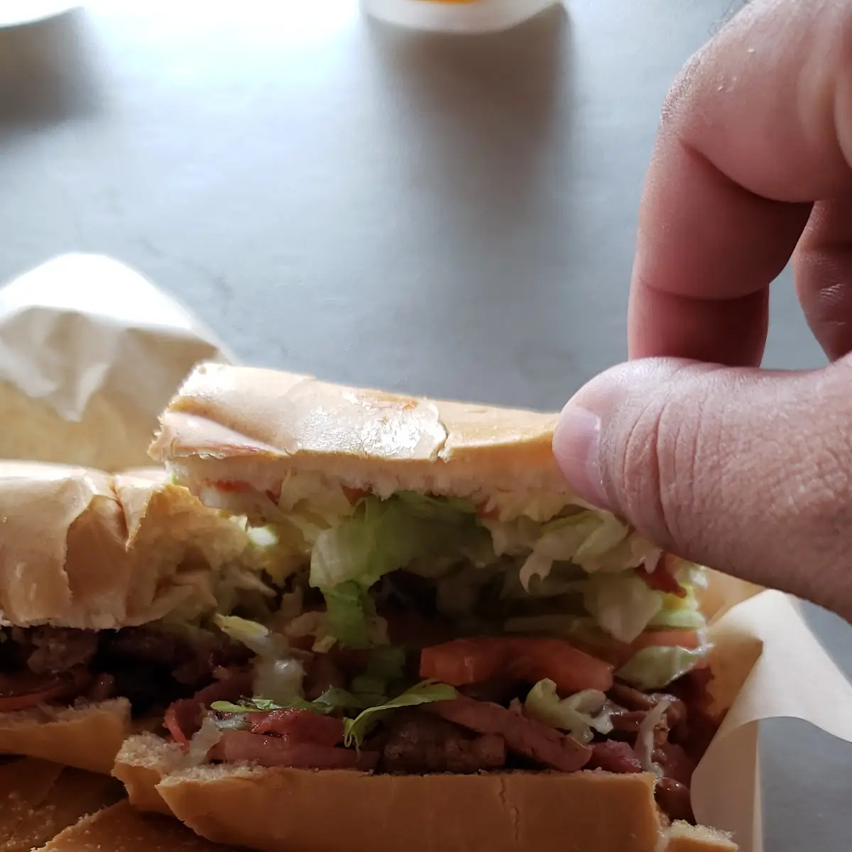 Steak Sandwich
