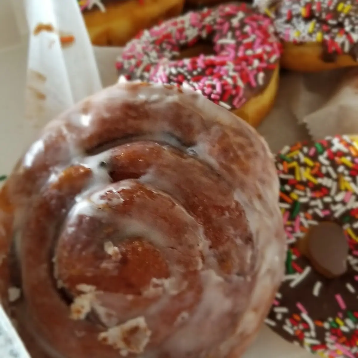 Cinnamon Roll