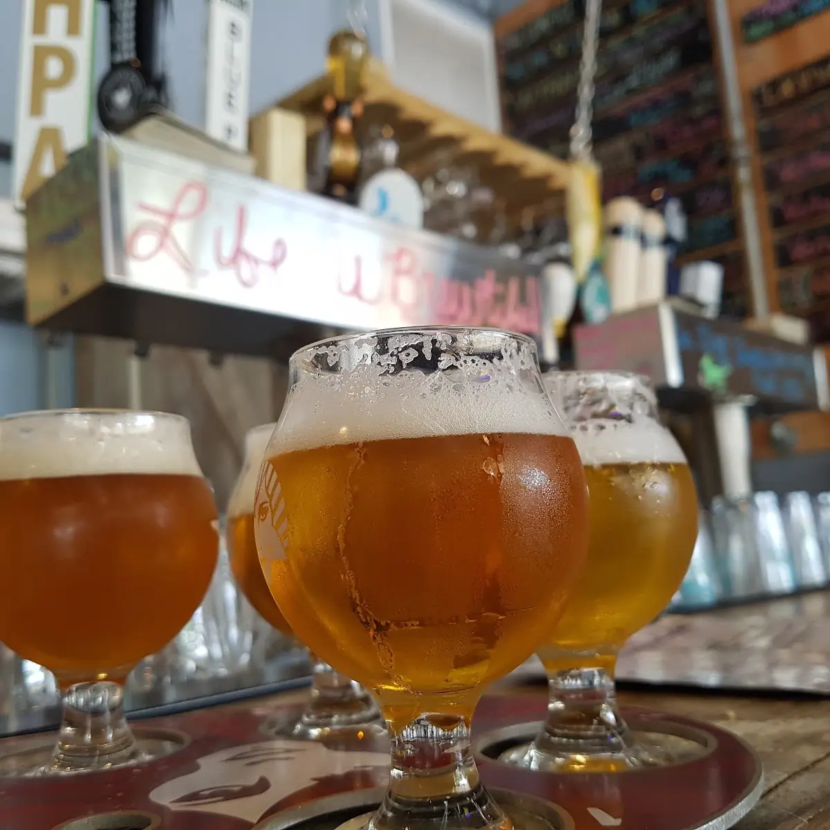 Beer Flight