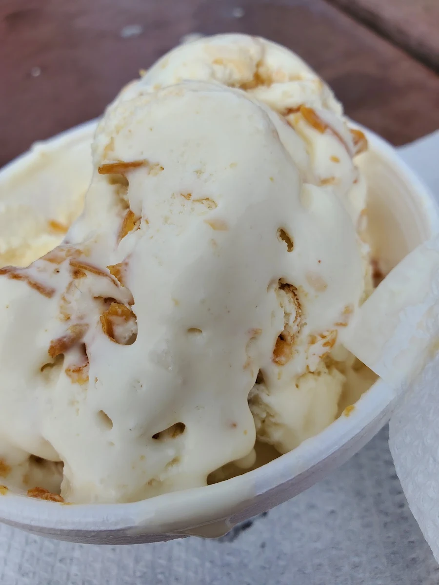 Peanut Butter and Vanilla Ice Cream