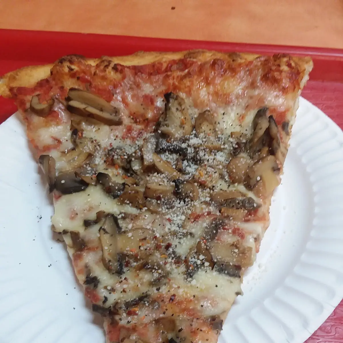 Mushroom Pizza