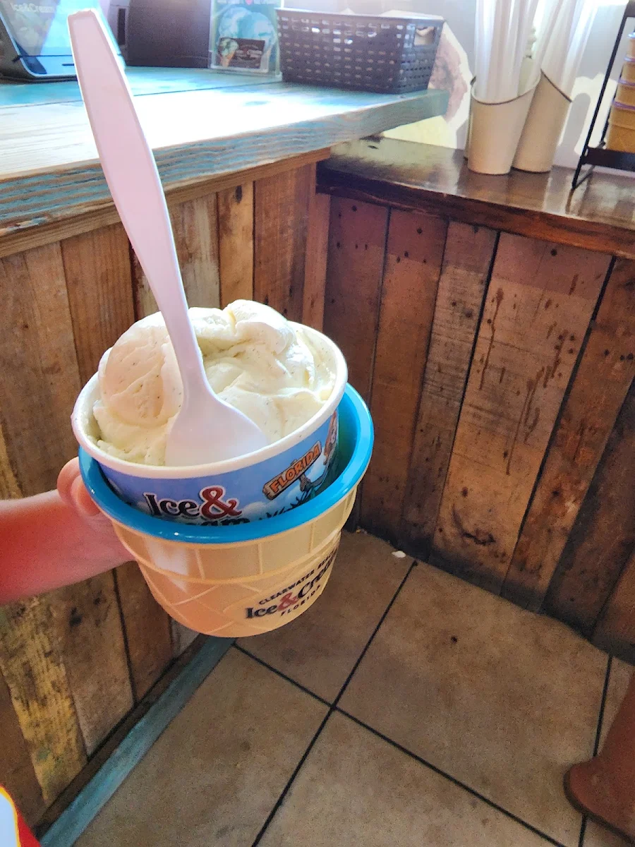 Vanilla Ice Cream Scoop