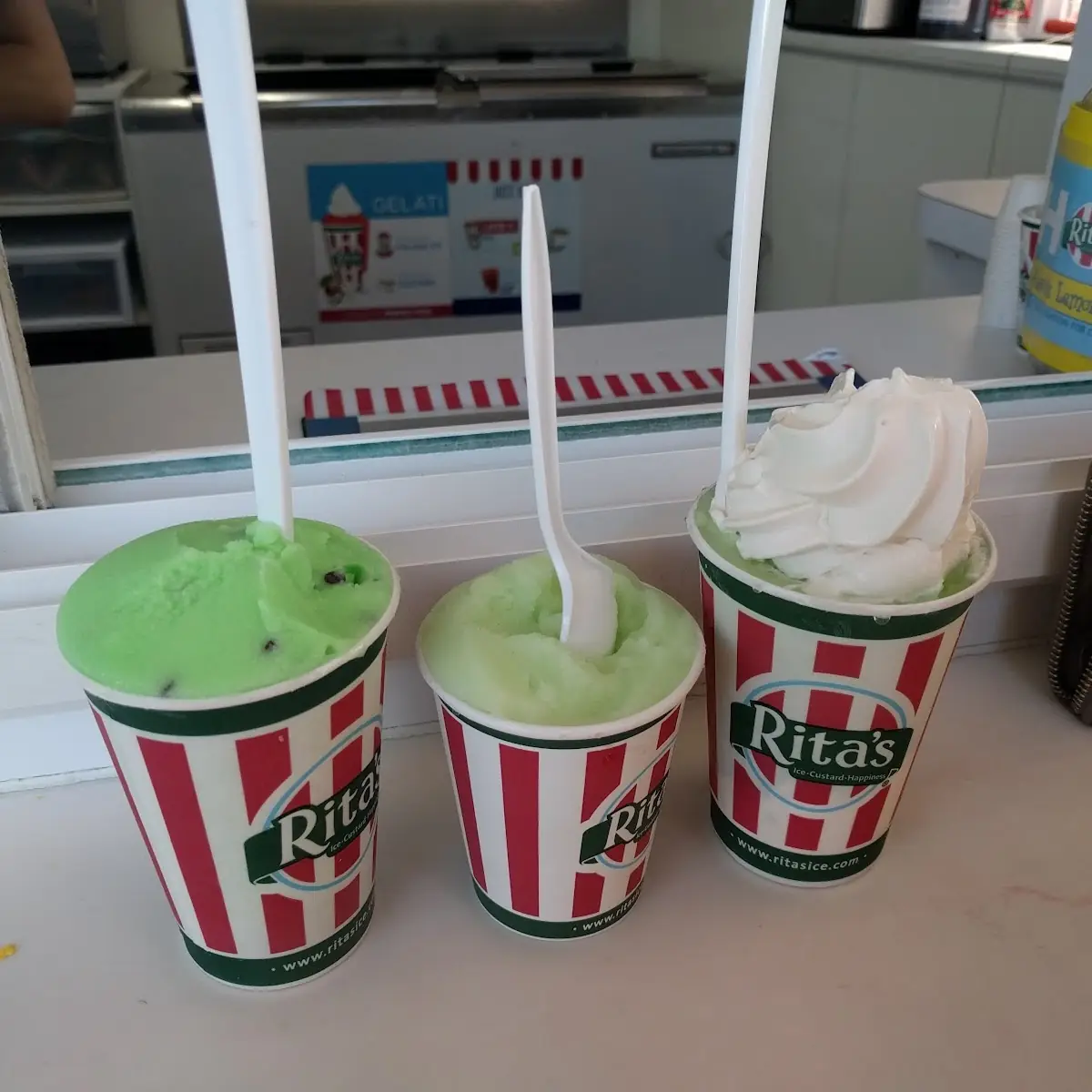 Mint Chocolate Chip Italian Ice