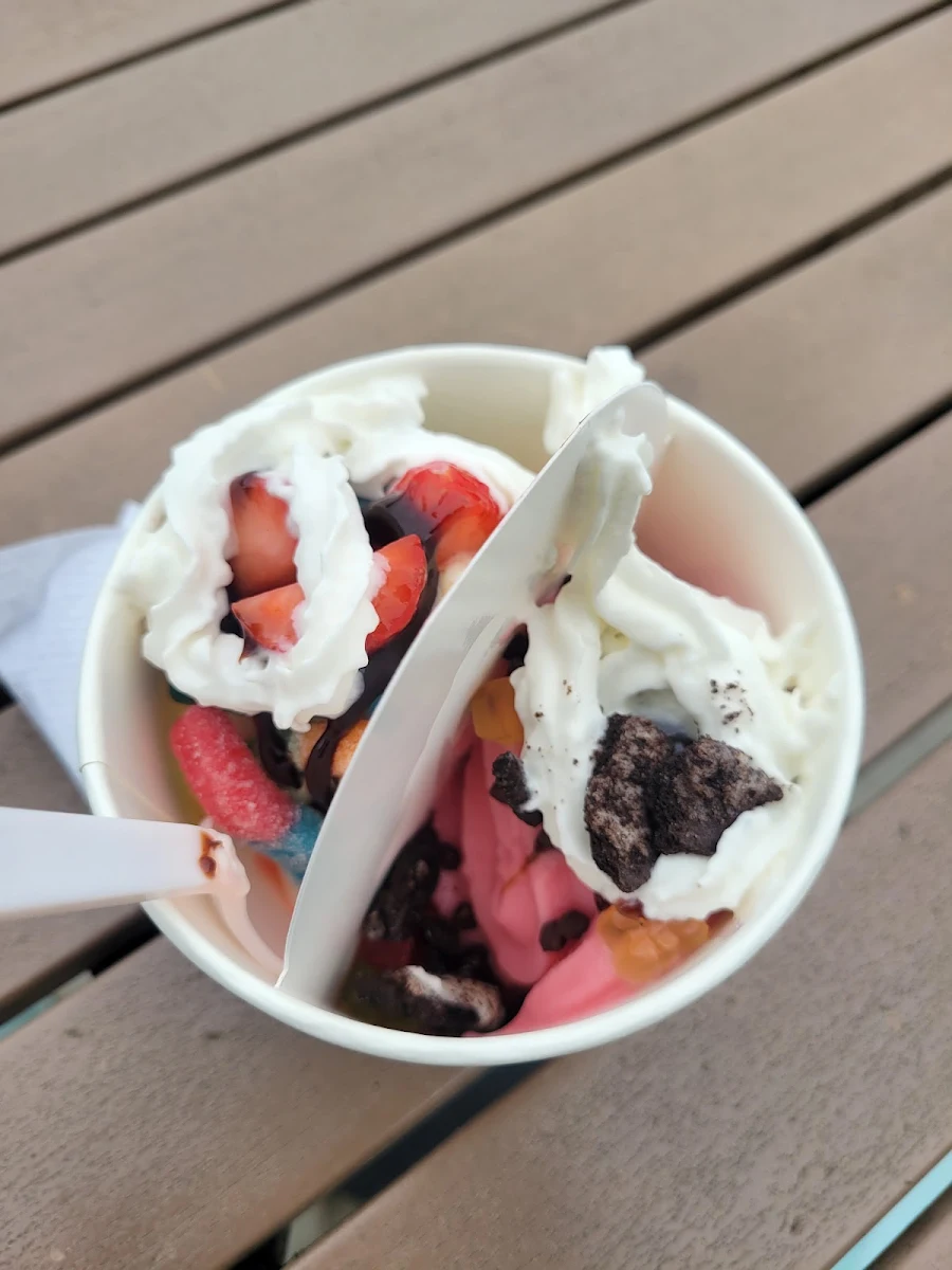 Frozen Yogurt