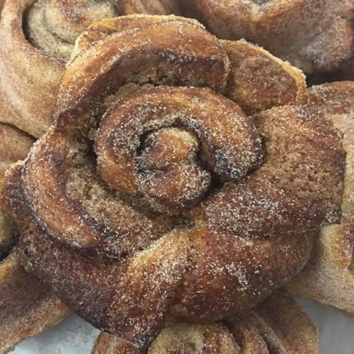 Morning Bun